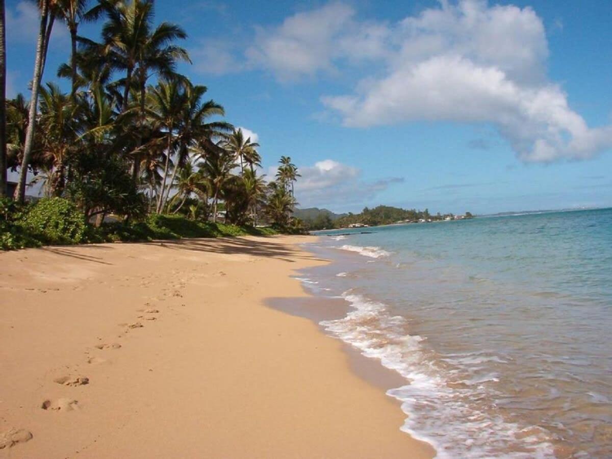Luxury Beachfront Condo Hau'ula Eksteriør bilde