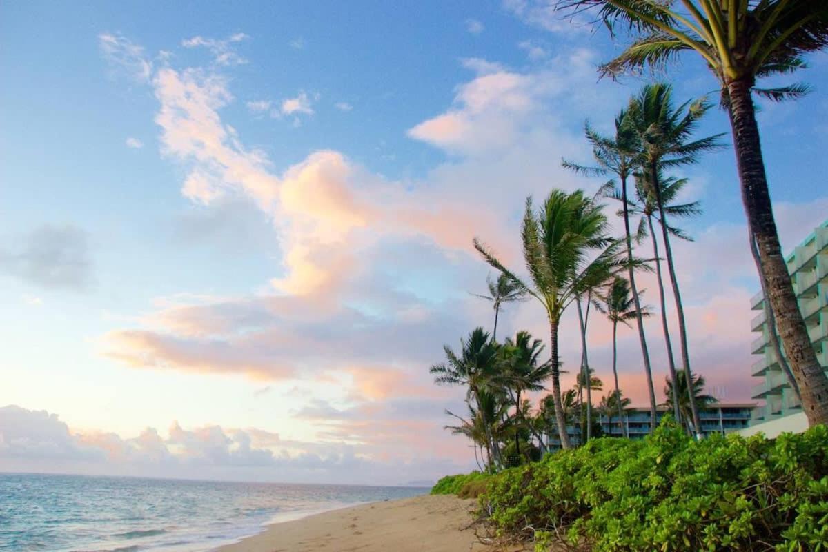 Luxury Beachfront Condo Hau'ula Eksteriør bilde