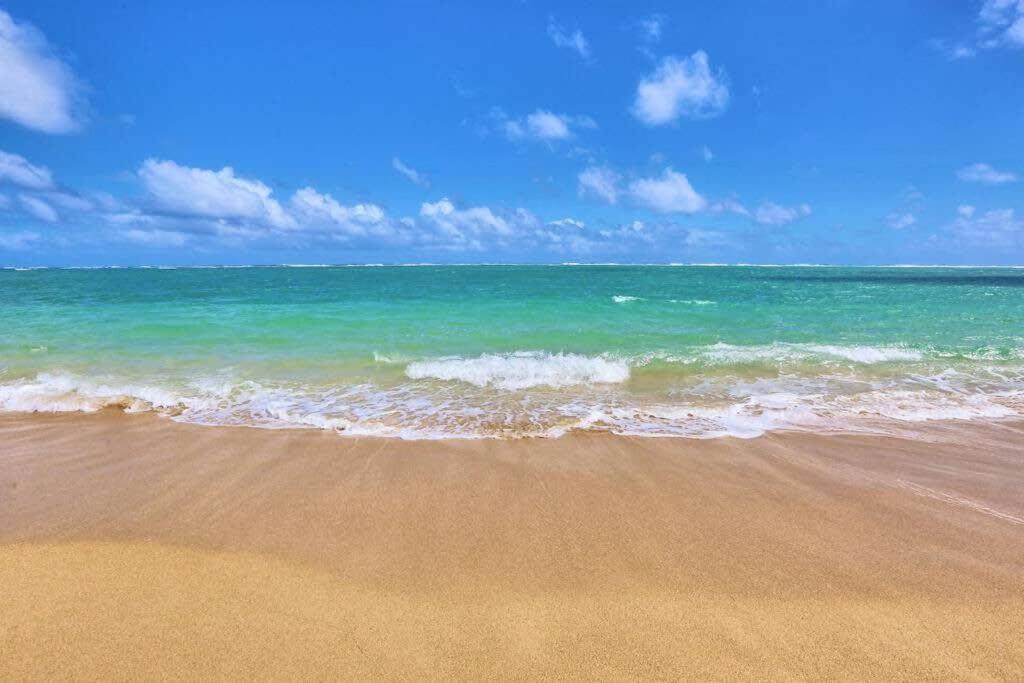 Luxury Beachfront Condo Hau'ula Eksteriør bilde